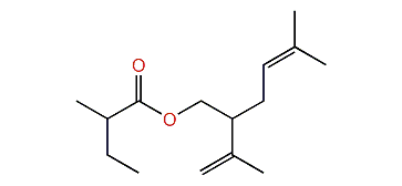 5-Methyl-2-(prop-1-en-2-yl)-hex-4-enyl 2-methylbutanoate